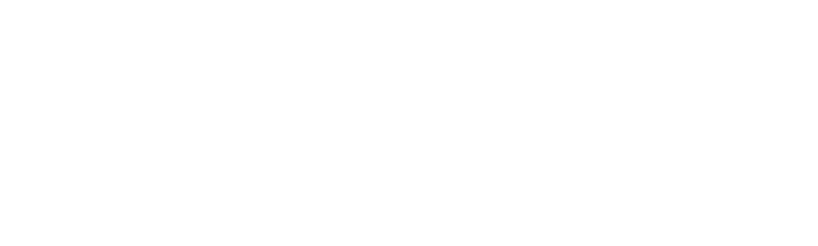 NFON Logo